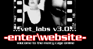 enter site
